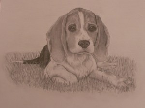 buffy-beagle