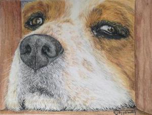colored pencil dog
