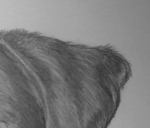 IMG_20140803_130626312