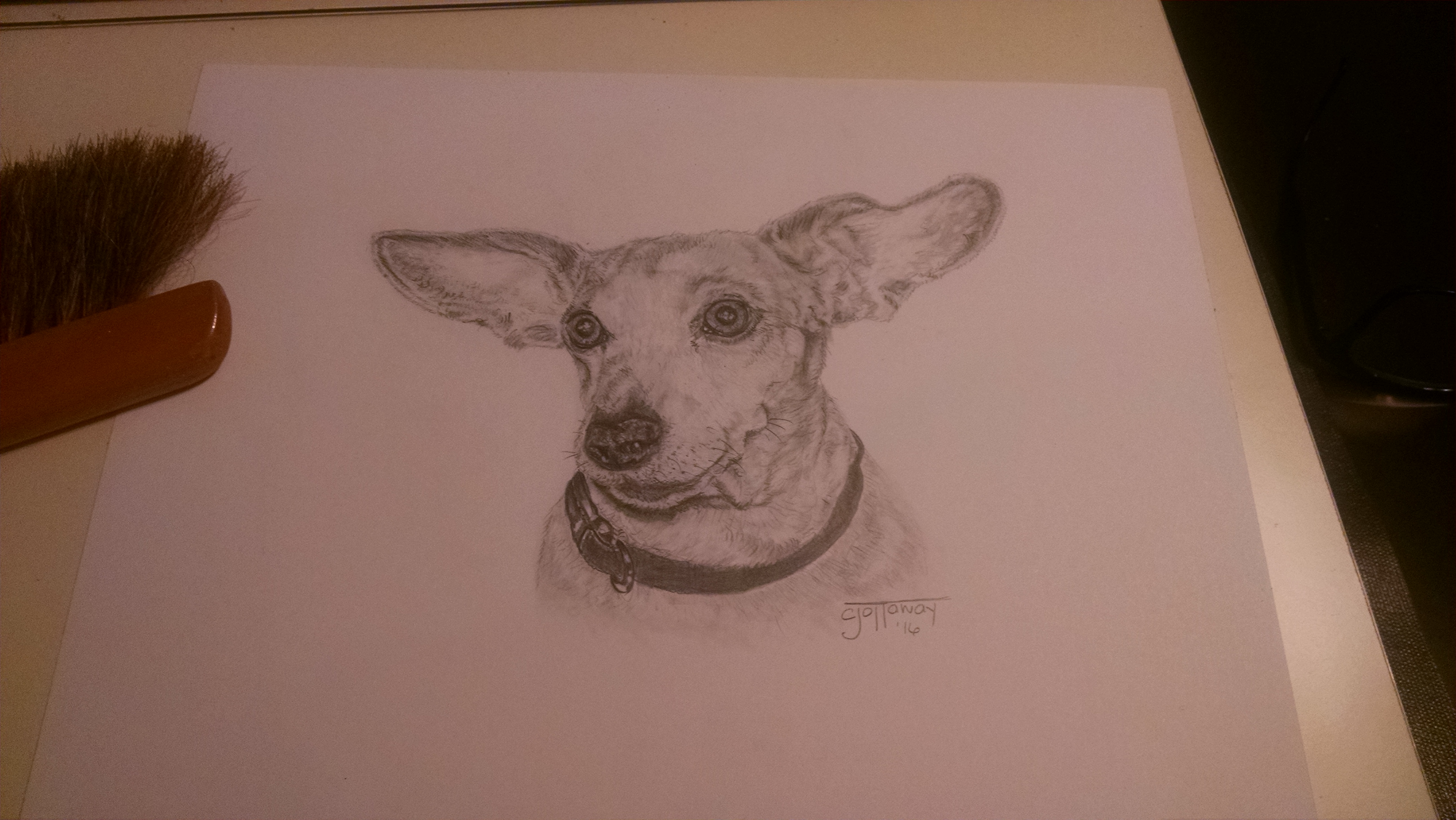 IMG_20160221_150918625